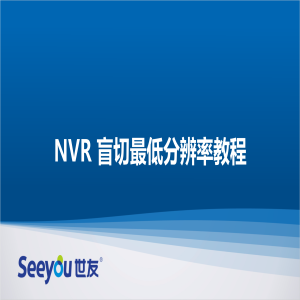 3044am永利集团 NT NVR盲切最低分辨率教程